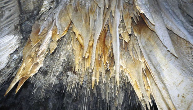 Visita guiada por la Cueva El Soplao - Photo 3