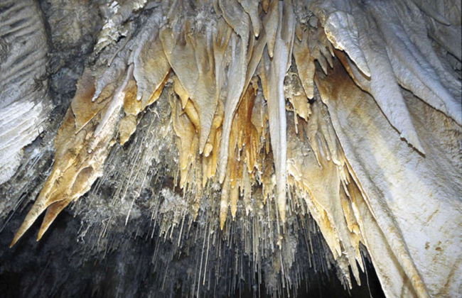 Visita guiada por la Cueva El Soplao - Photo 3