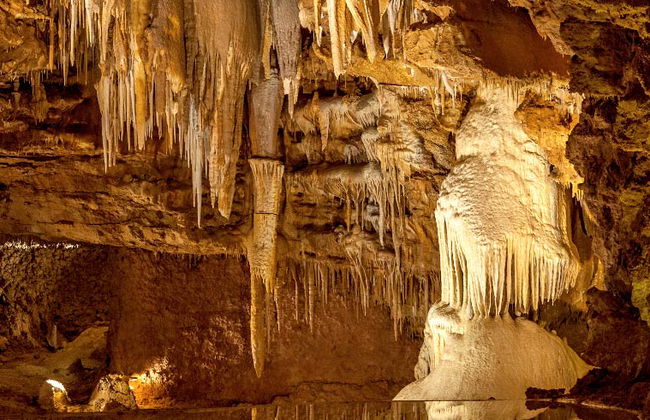 Visita guiada por la Cueva El Soplao - Photo 6