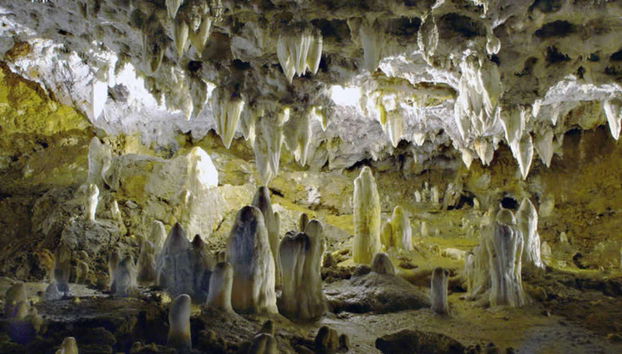 Visita guiada por la Cueva El Soplao - Photo 4