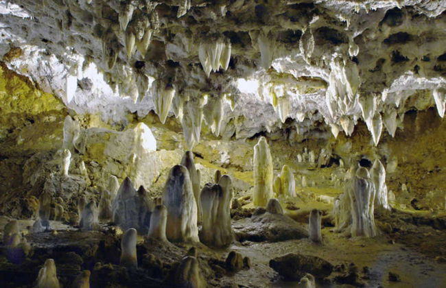 Visita guiada por la Cueva El Soplao - Photo 4