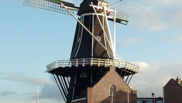 Private Tour of Haarlem - Foto 2