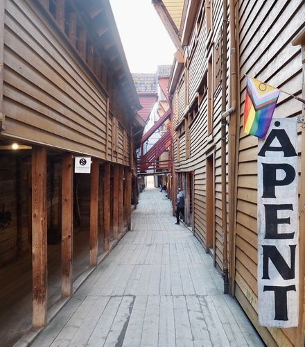 Foto de Visita guiada por Bergen