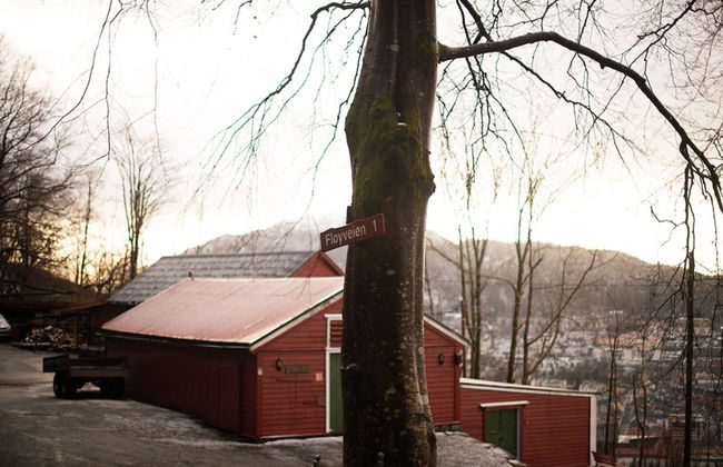 Visita guidata di Bergen - Foto 8