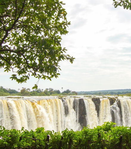 Foto de Senderismo y tirolina en las Cataratas Victoria