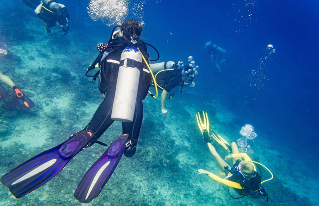 Beginners Scuba Diving in Garajau - Foto 1