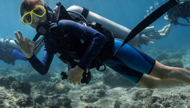 Baptême de plongée à Garajau - Photo 5