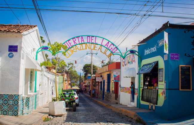 Excursión a Ajijic y el lago de Chapala - Foto 5
