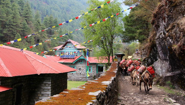 5 Day Everest Trek - Foto 4