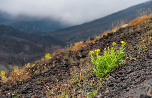 Tour de 4x4 pelo Etna + Snorkel - Foto 4