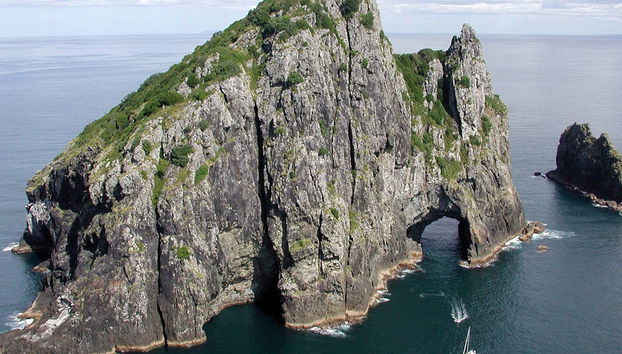 Bay of Islands Day Trip - Foto 4