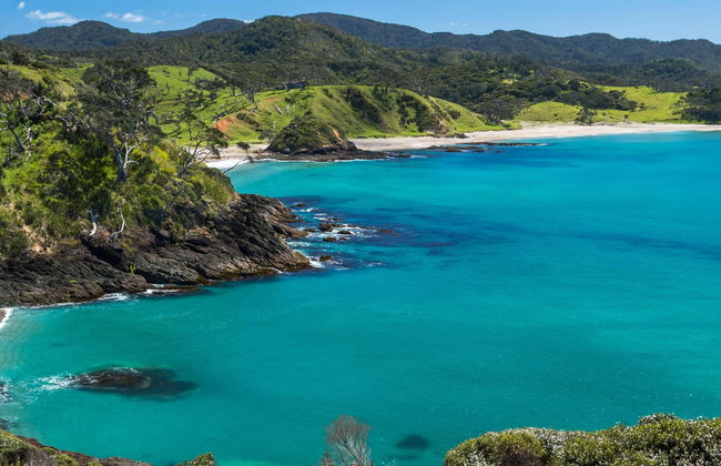 Excursão à Baía das Ilhas - Foto 4