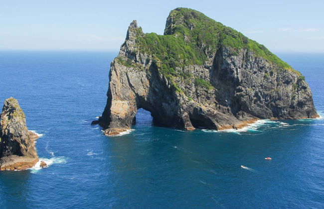 Excursão à Baía das Ilhas - Foto 2