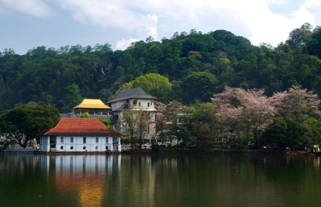 Tour privado por Kandy - Foto 2