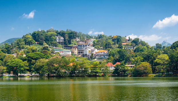 Kandy Private Excursion - Foto 4