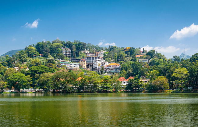 Kandy Private Excursion - Foto 4