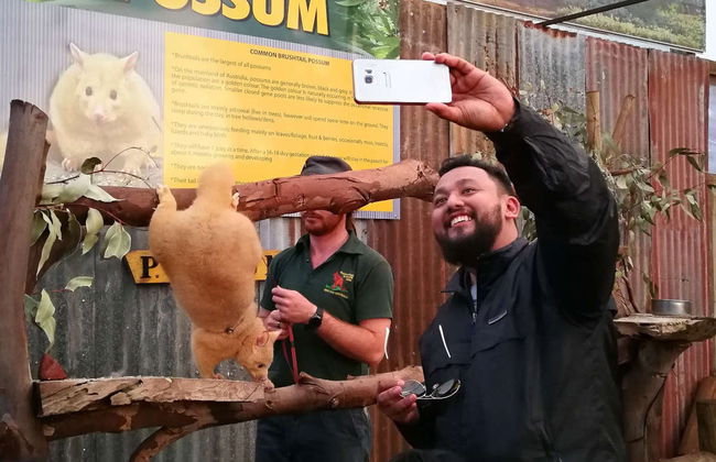 Scheda eSIM con Internet - Foto 2