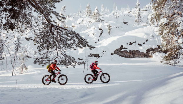 Pedalando pelo Parque