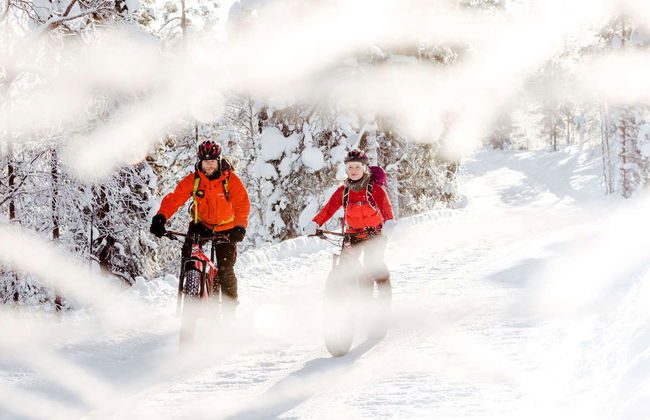 Tour de bicicleta elétrica pelo Parque Nacional Pyhä-Luosto - Foto 3