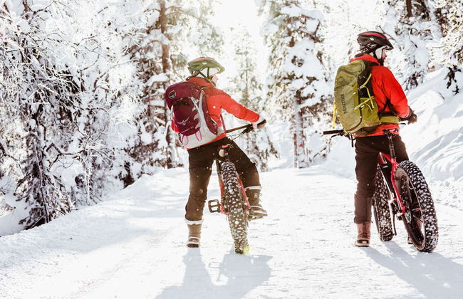 Tour de bicicleta elétrica pelo Parque Nacional Pyhä-Luosto - Foto 2