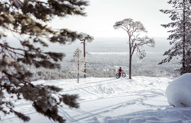 Tour de bicicleta elétrica pelo Parque Nacional Pyhä-Luosto - Foto 7