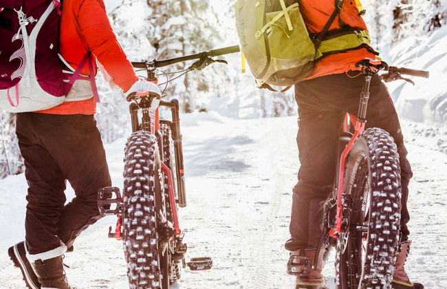 Tour de bicicleta elétrica pelo Parque Nacional Pyhä-Luosto - Foto 5