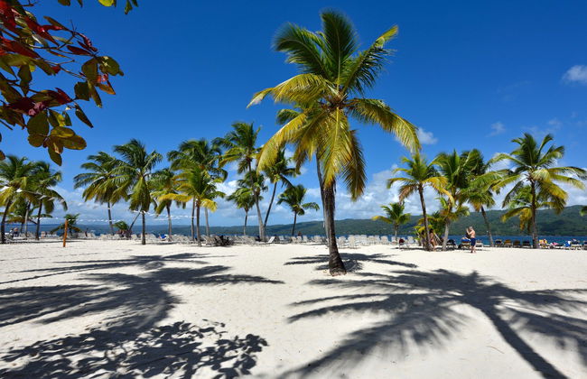 Excursión al Parque Nacional Los Haitises y Cayo Levantado - Foto 4