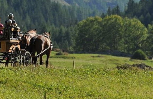 Balade en calèche dans le parc national du Grand Paradis - Photo 3