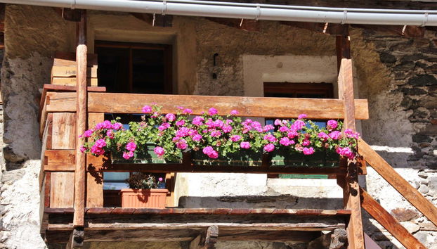 Gran Paradiso National Park Carriage Tour - Foto 2