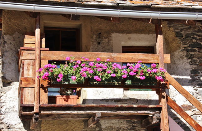 Giro in carrozza nel Parco Nazionale del Gran Paradiso - Foto 2