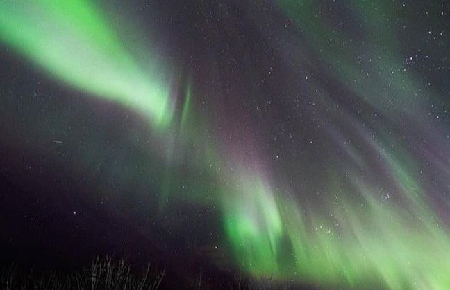 Northern Lights Tour in Sirkka - Photo 4