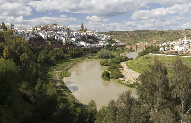 Trekking lungo il fiume Guadalquivir - Foto 7