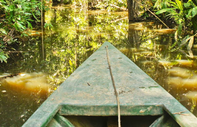 Pesca de pirañas y avistamiento de aves - Foto 4