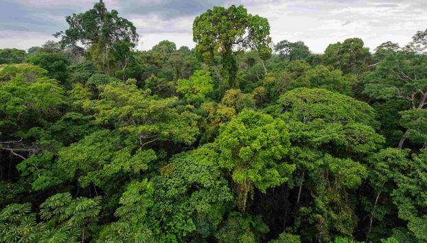 Sunset River Boat + Capybara Watching - Foto 5