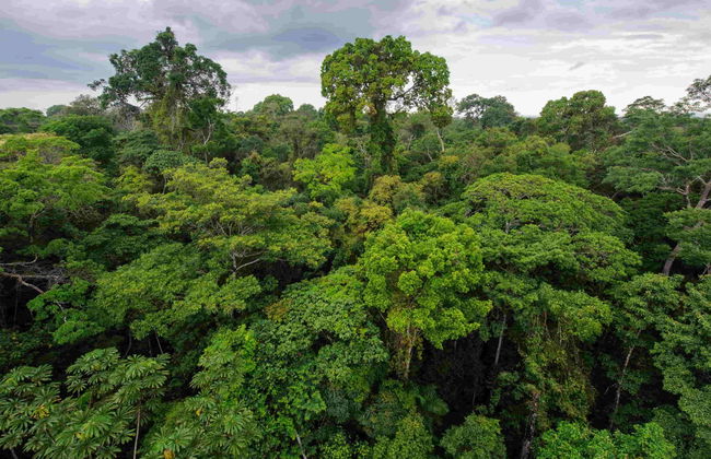 Passeio de barco ao entardecer com avistamento de capivaras - Foto 5