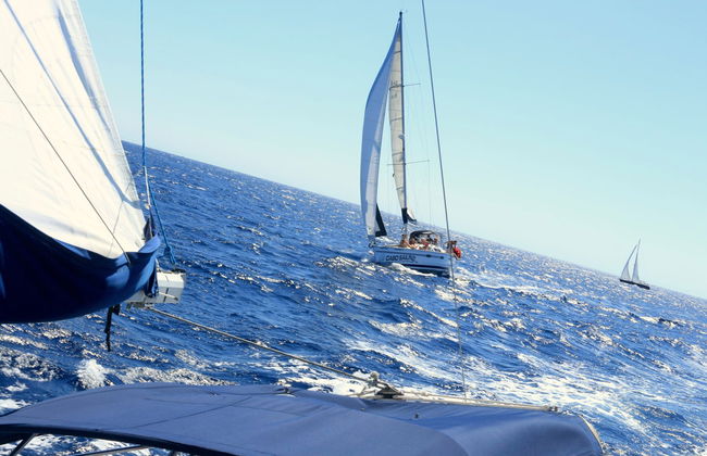 Paseo en velero por el Mar de Cortés - Foto 7