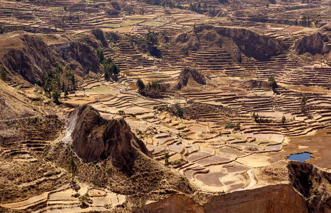 Tour de 2 dias ao Vale do Colca e ao mirante Cruz del Cóndor - Foto 1