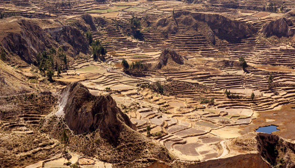 Tour di 2 giorni alla Valle del Colca e al Cruz del Cóndor - Foto 1