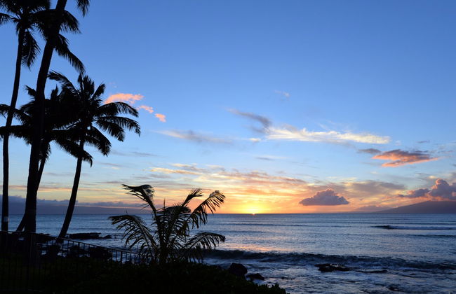 Crucero al atardecer - Foto 1