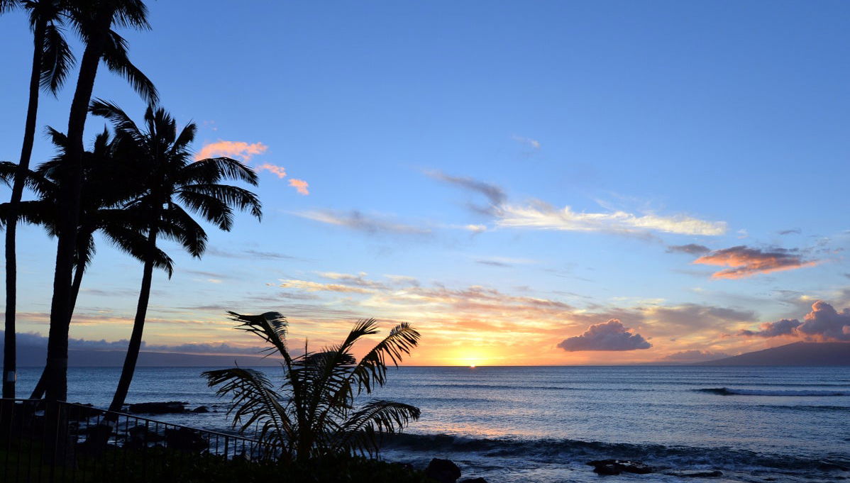 Crucero al atardecer - Foto 1