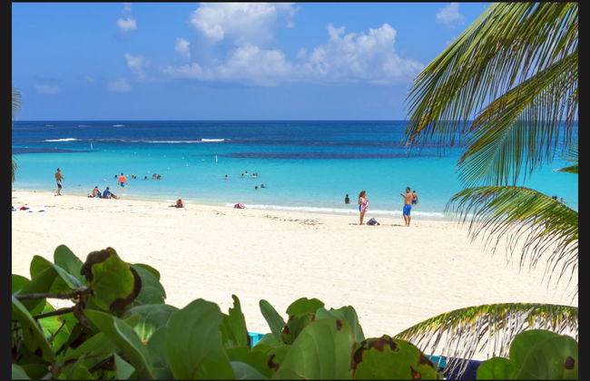 Excursión a la isla Culebra en catamarán - Foto 2