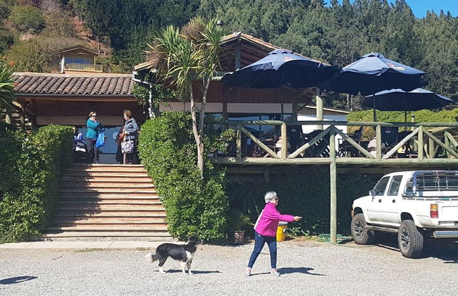 Excursión a Ninhue y Buchupureo - Foto 8