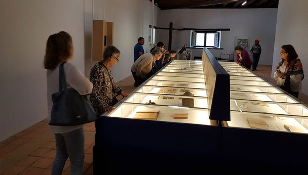 Excursión a Ninhue y Buchupureo - Foto 2
