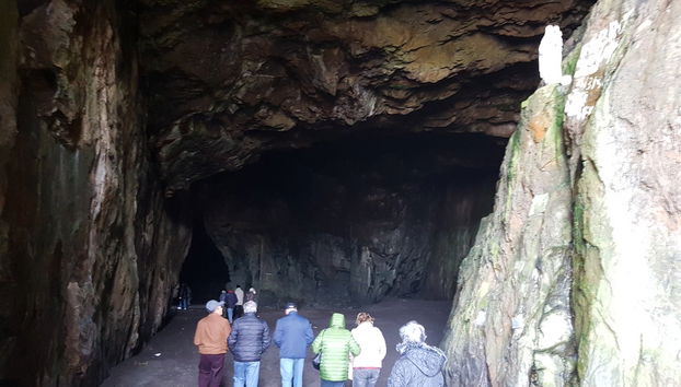 Excursión a Ninhue y Buchupureo - Foto 5