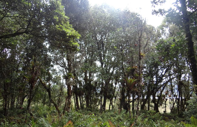 Excursion à la lagune de La Cocha - Photo 4