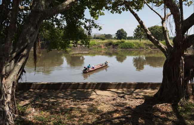 Mompox Boat Ride - Foto 6