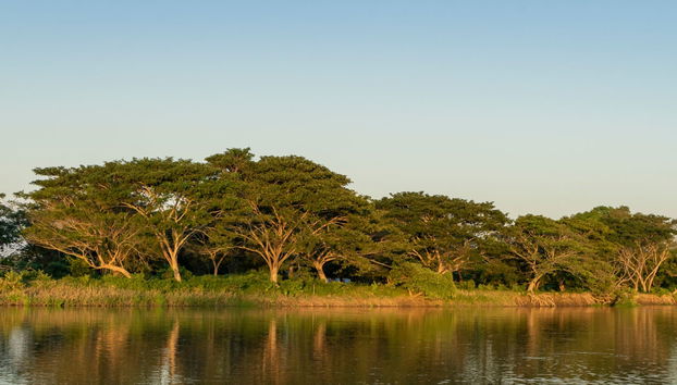 Mompox Boat Ride - Foto 3