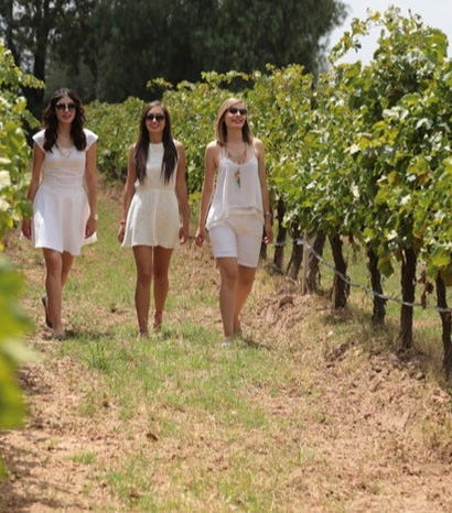 Foto de Excursión a San José de Gracia + Viñedos Casa Leal