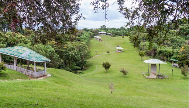 Day Trip to the San Agustin Archaeological Park - Photo 2