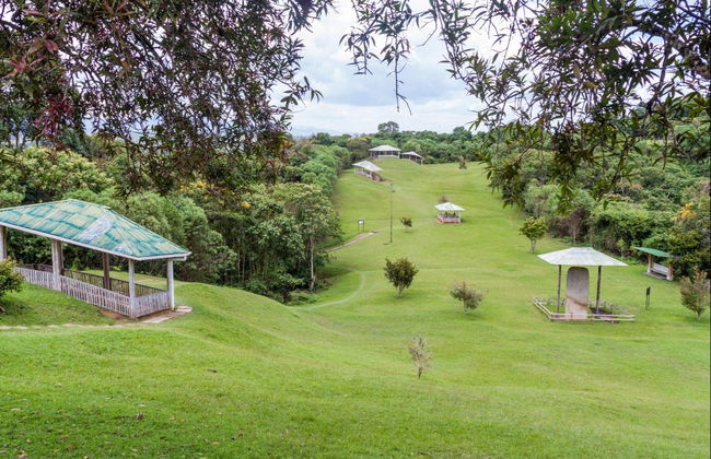 Day Trip to the San Agustin Archaeological Park - Photo 2
